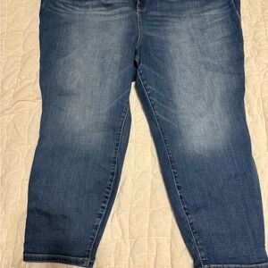 torrid Classic Medium Blue Jeggings